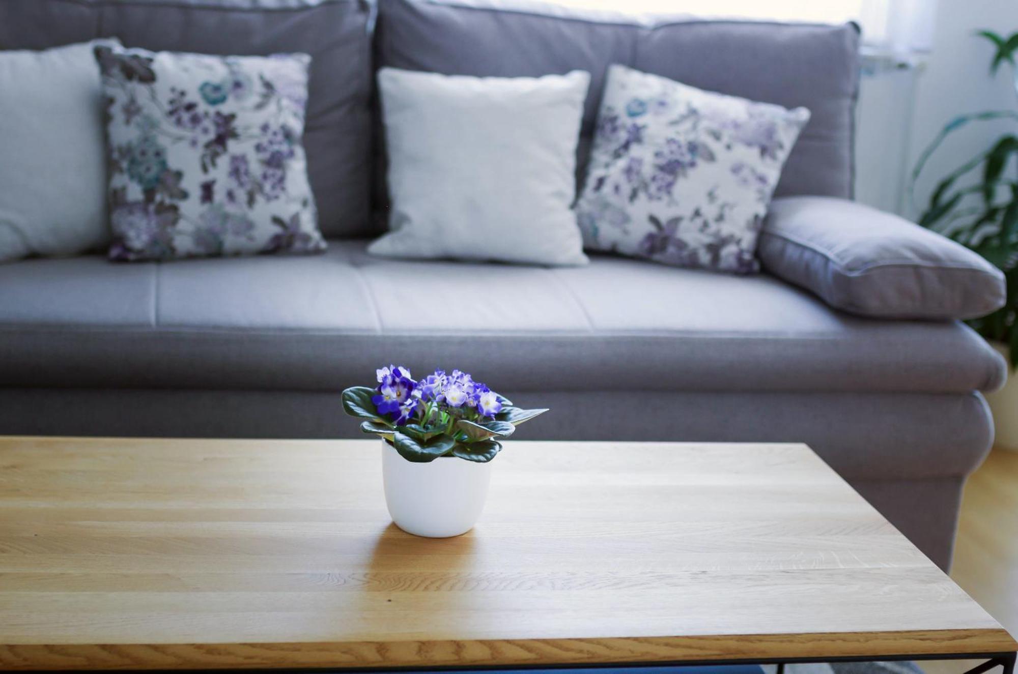Apartman Dada Krapinske Toplice Extérieur photo